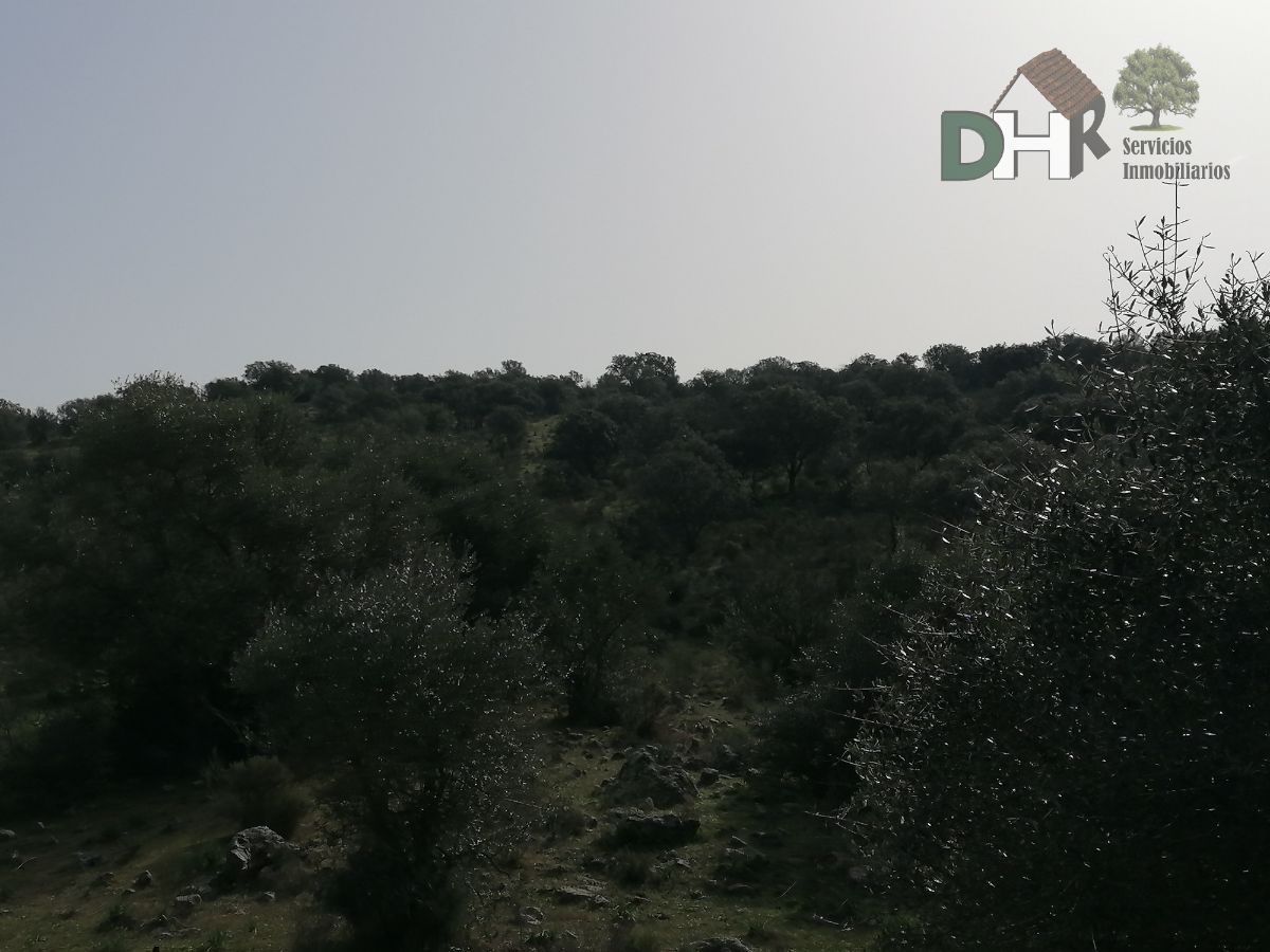 Venta de terreno en Badajoz Venta de terreno en Badajoz