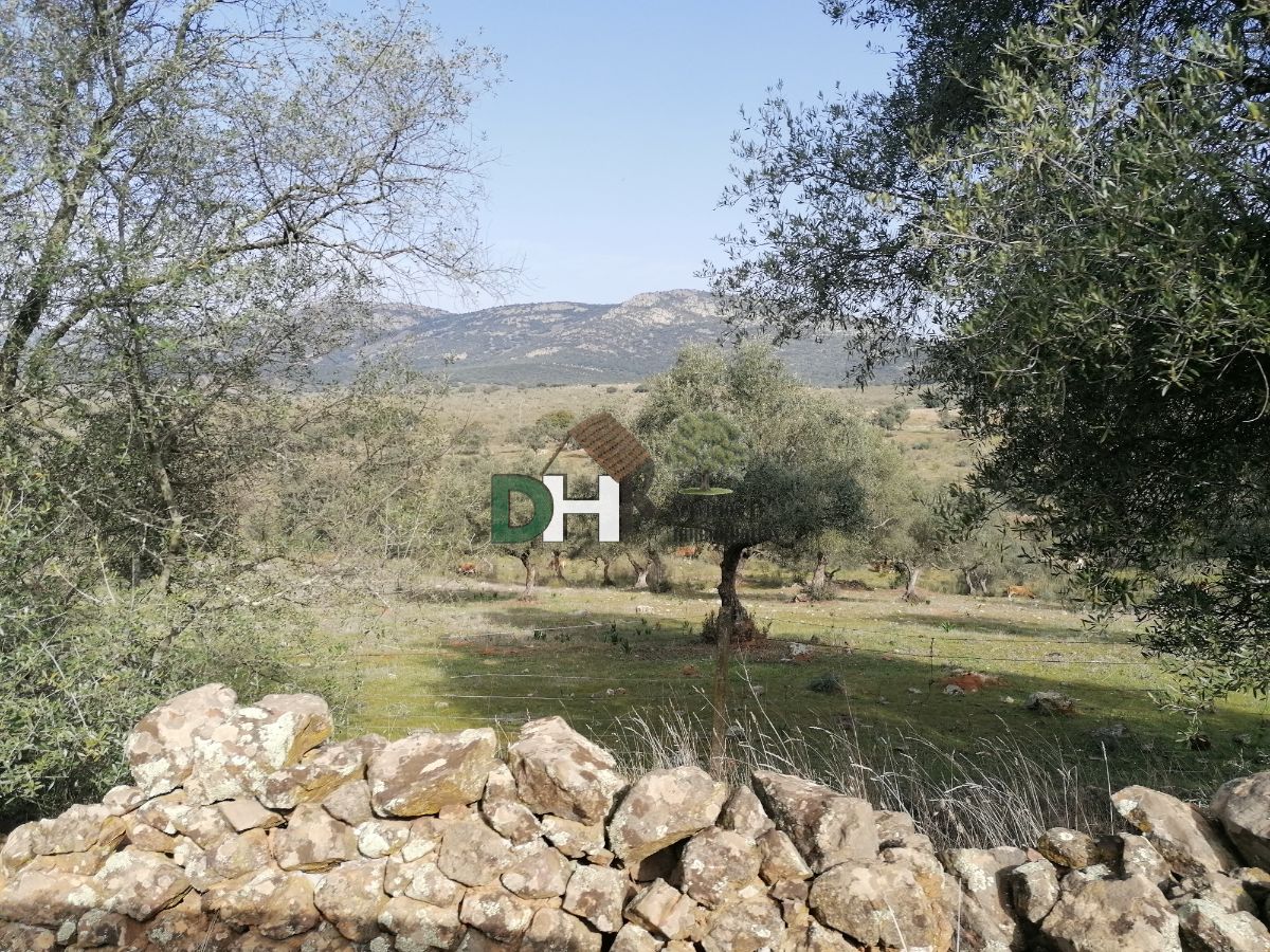 For sale of land in Badajoz