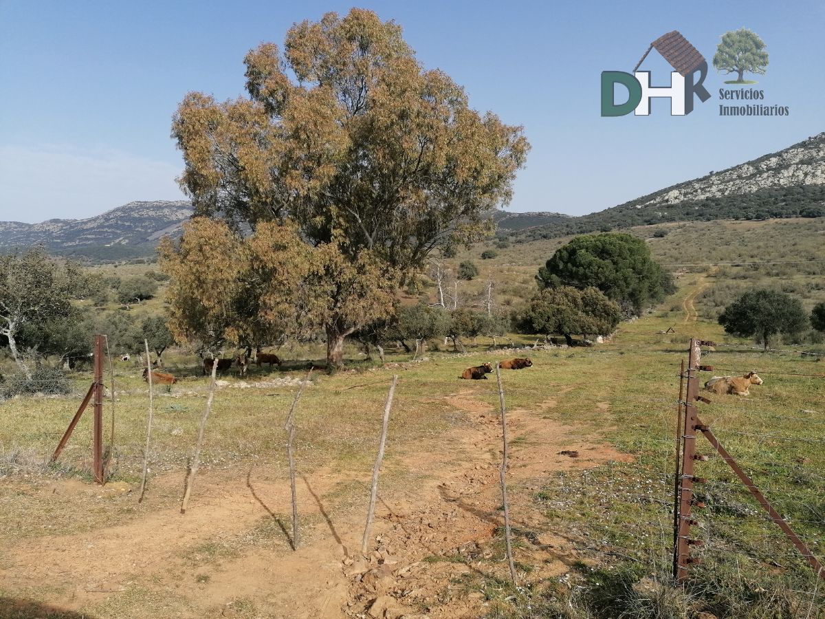 For sale of land in Badajoz