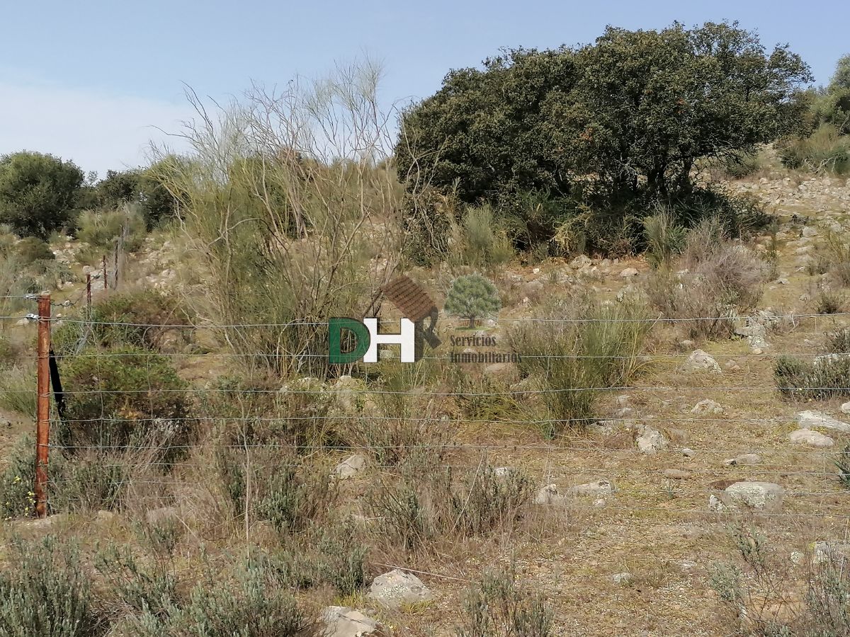 For sale of land in Badajoz