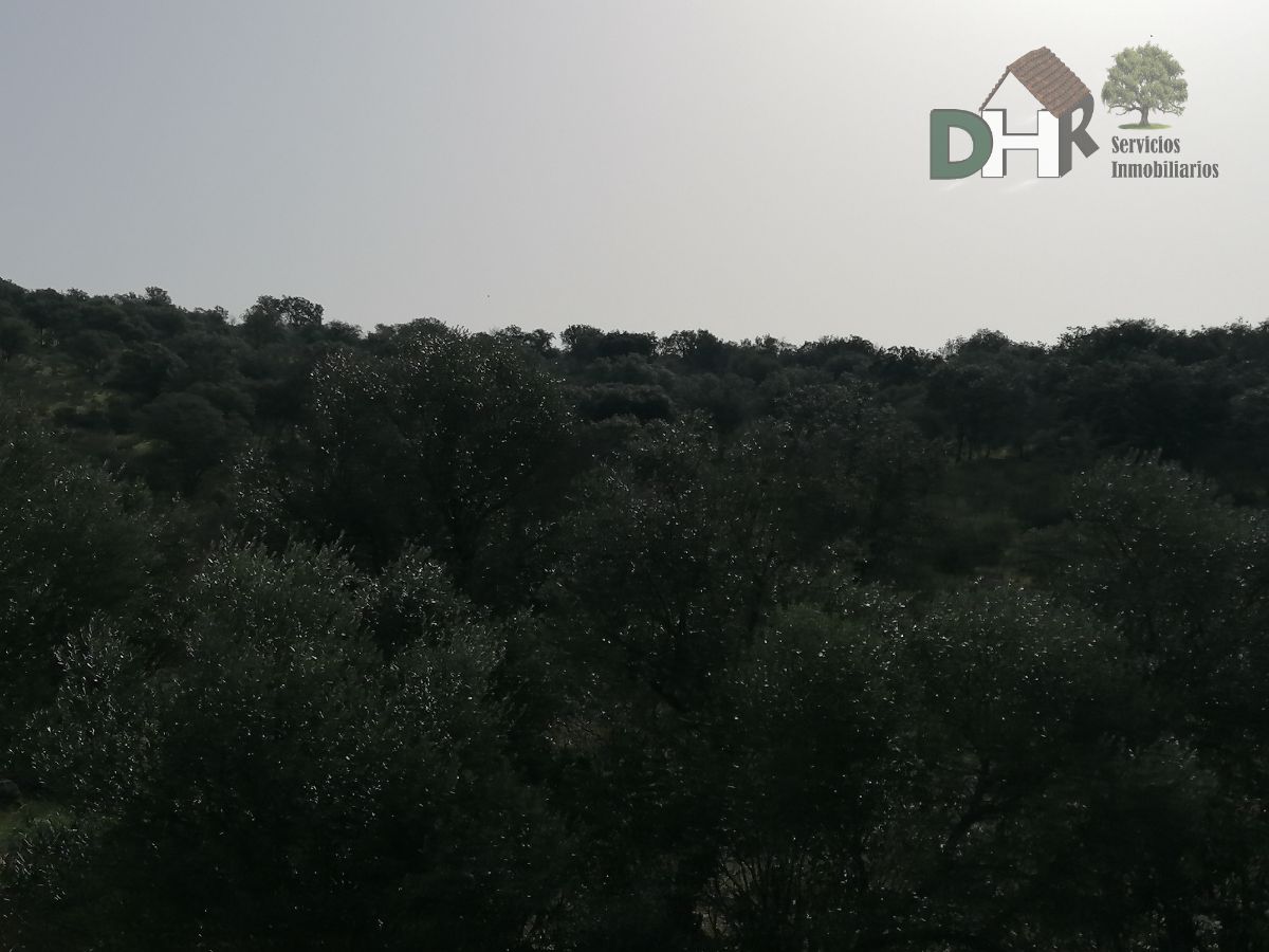 For sale of land in Badajoz