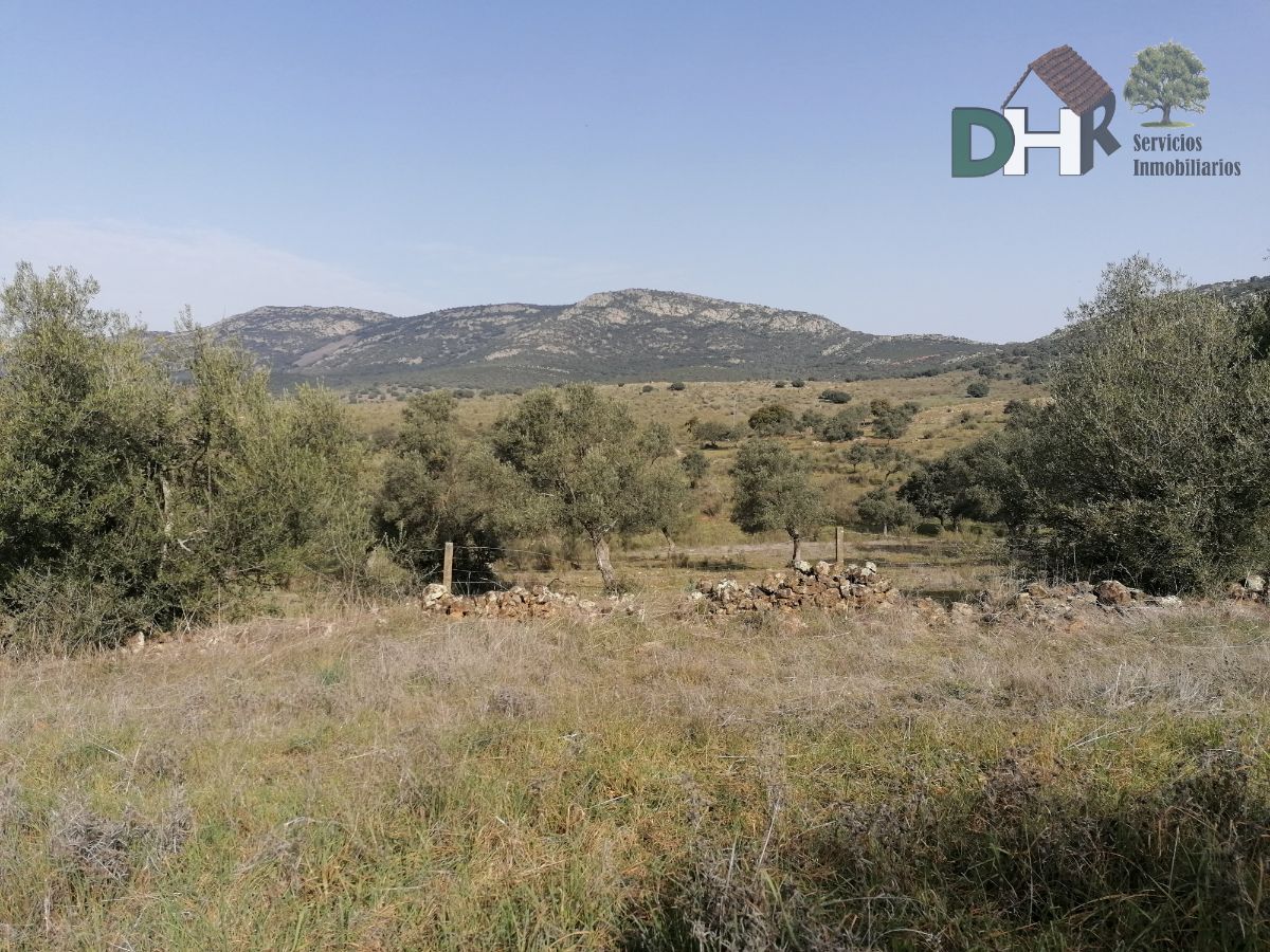 For sale of land in Badajoz