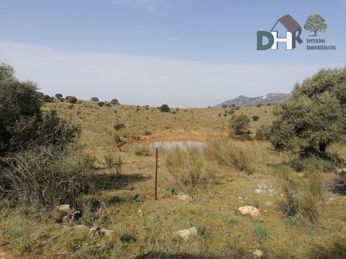 For sale of land in Badajoz