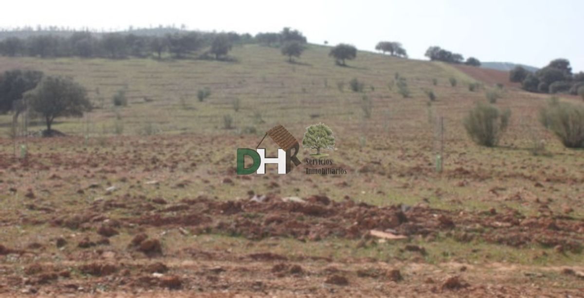 Venta de terreno en Badajoz