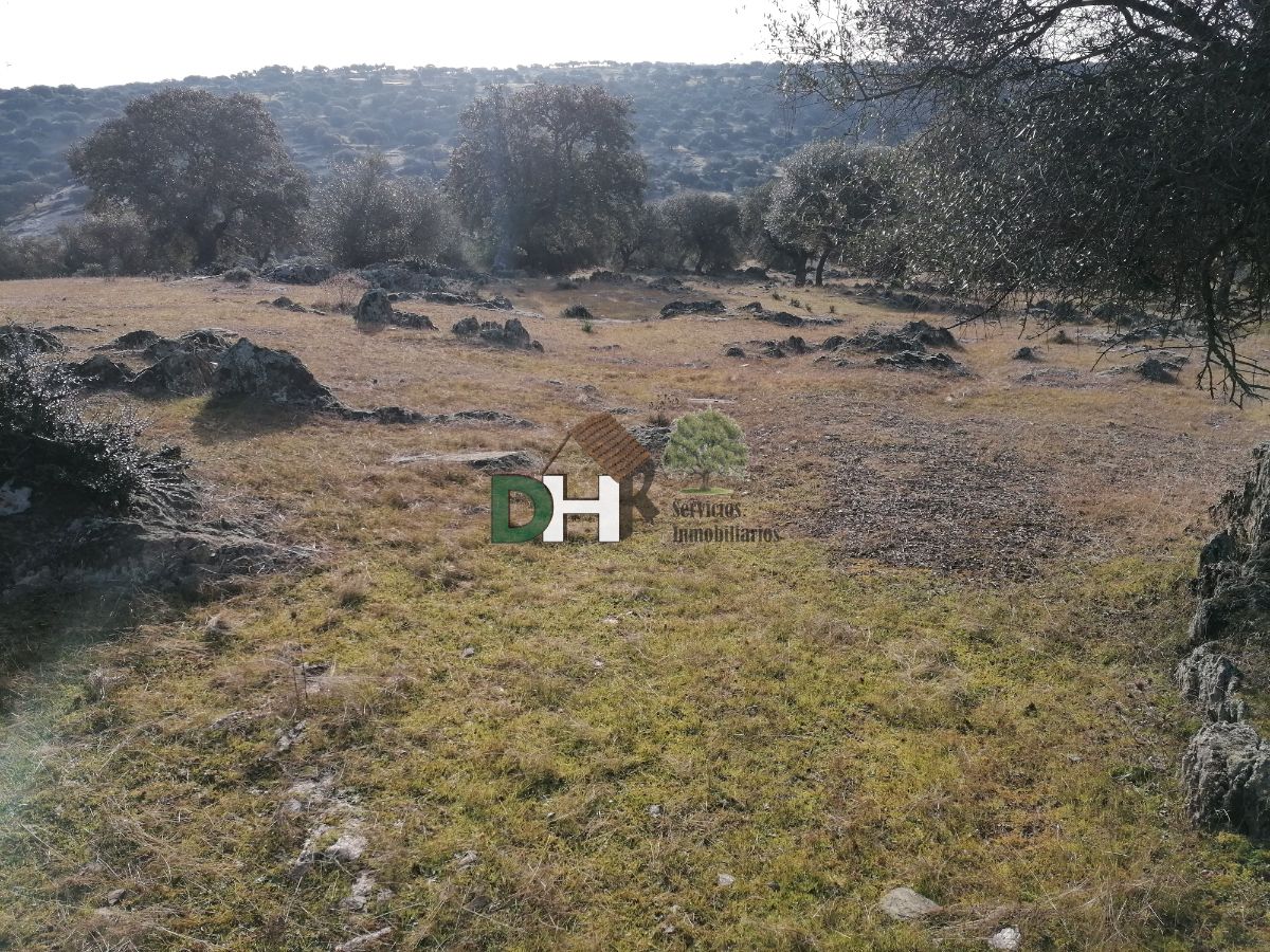 For sale of land in Cáceres