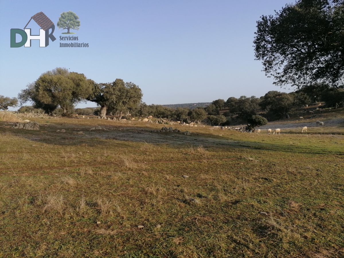 For sale of land in Cáceres