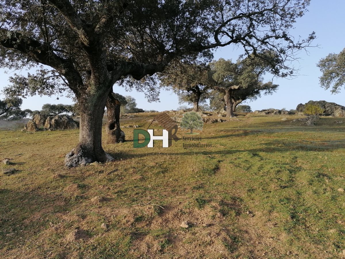 For sale of land in Cáceres