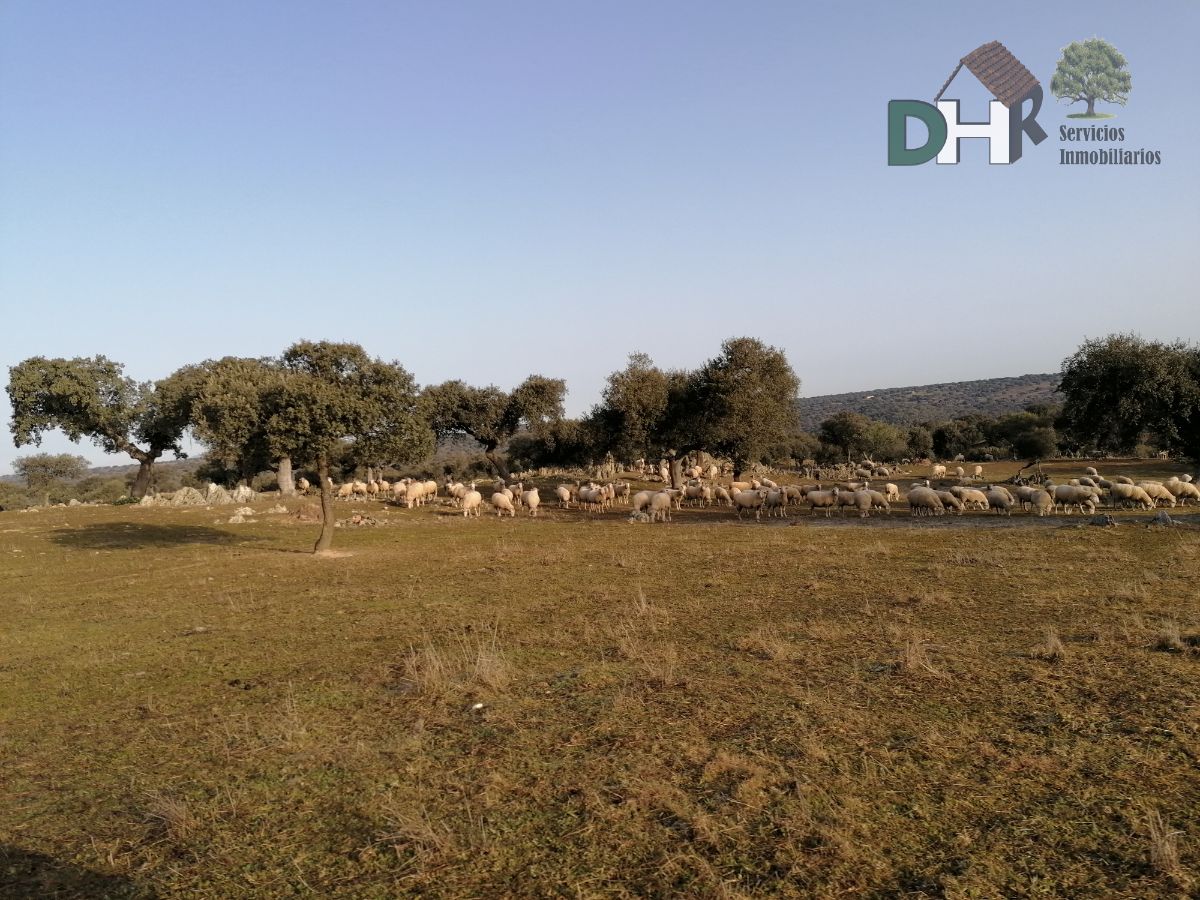 Venta de terreno en Cáceres