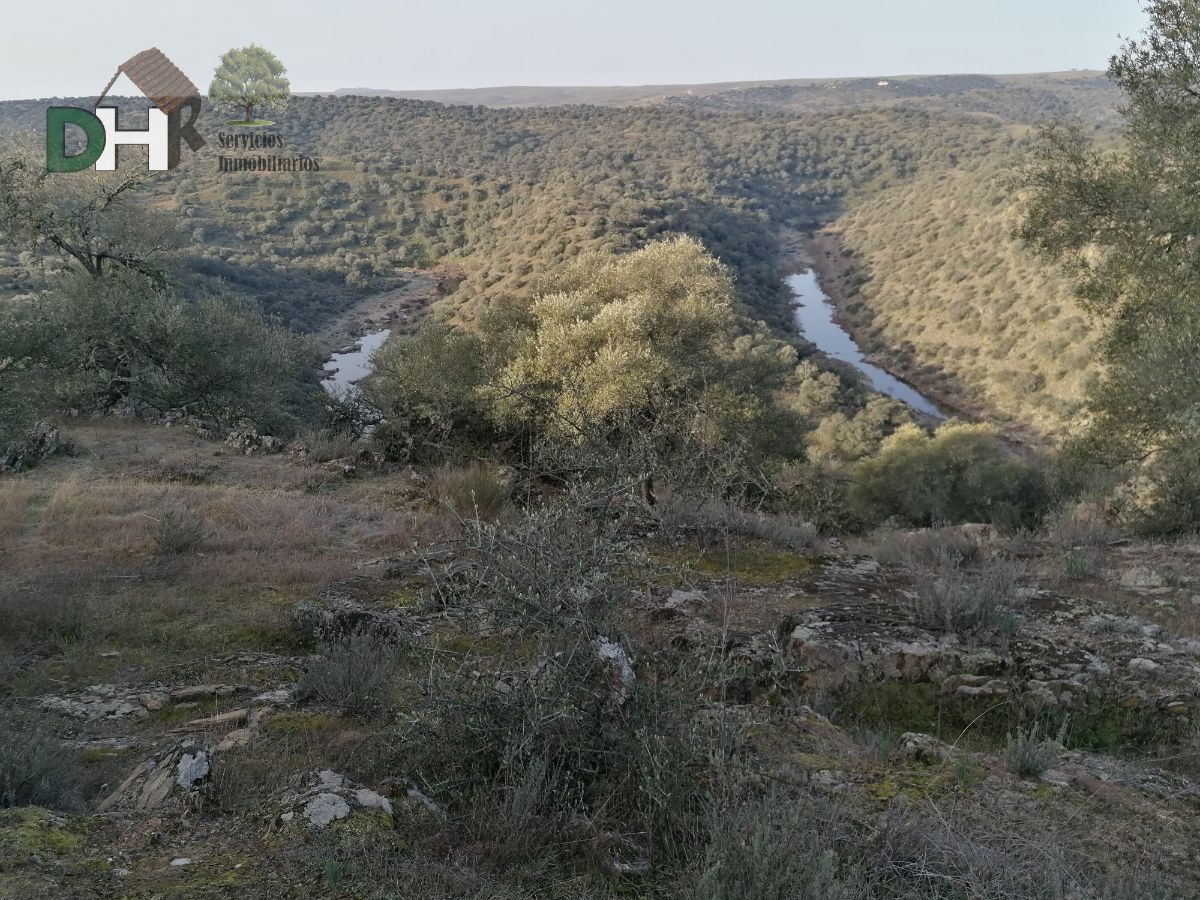 For sale of land in Cáceres