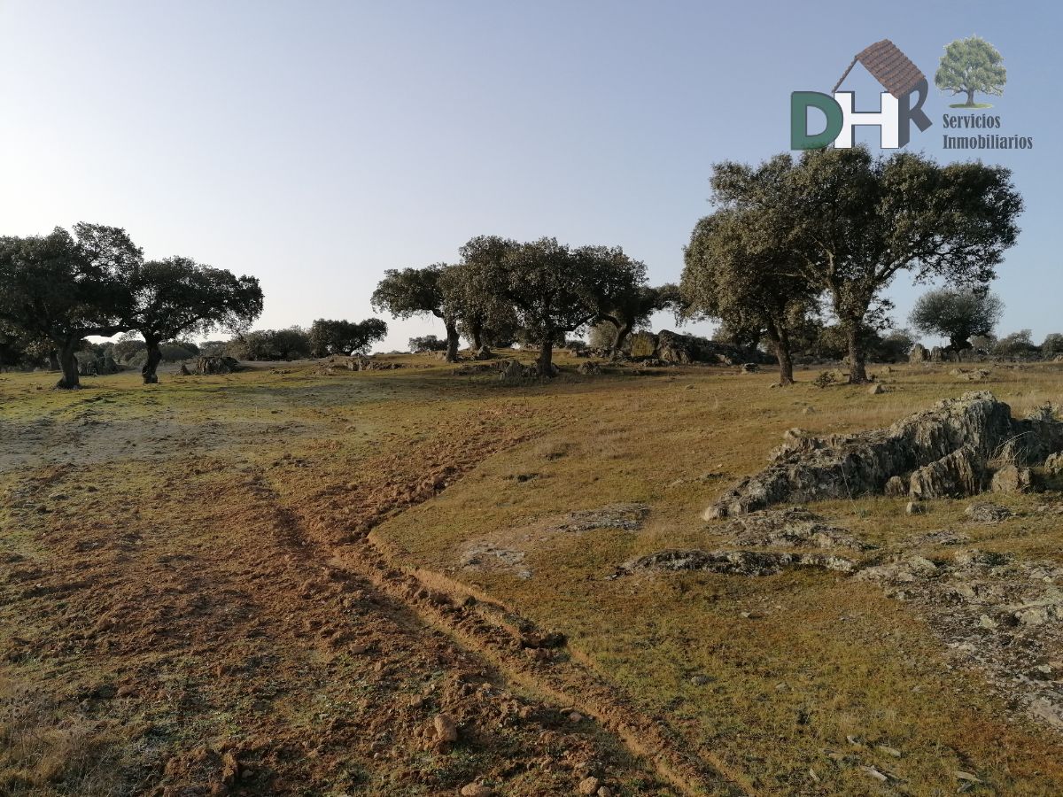 For sale of land in Cáceres