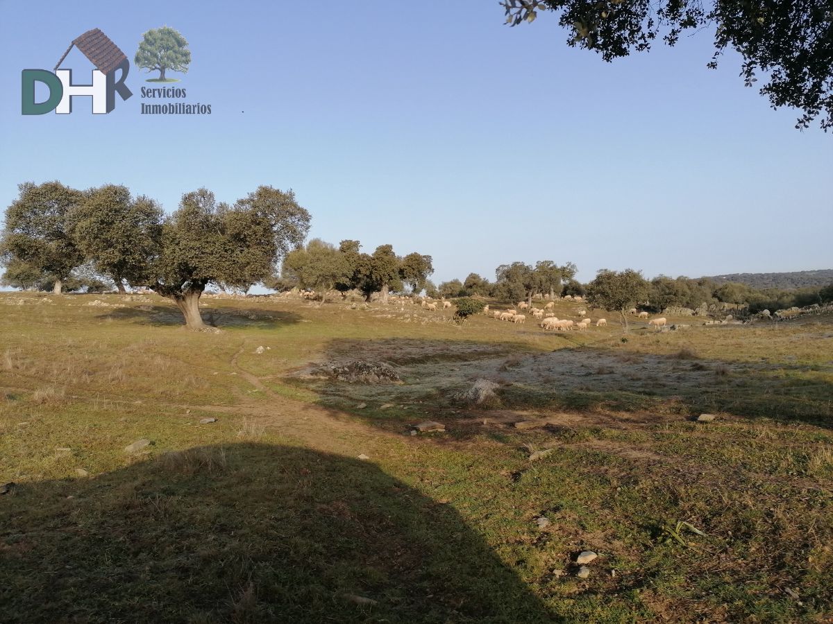 Venta de terreno en Cáceres