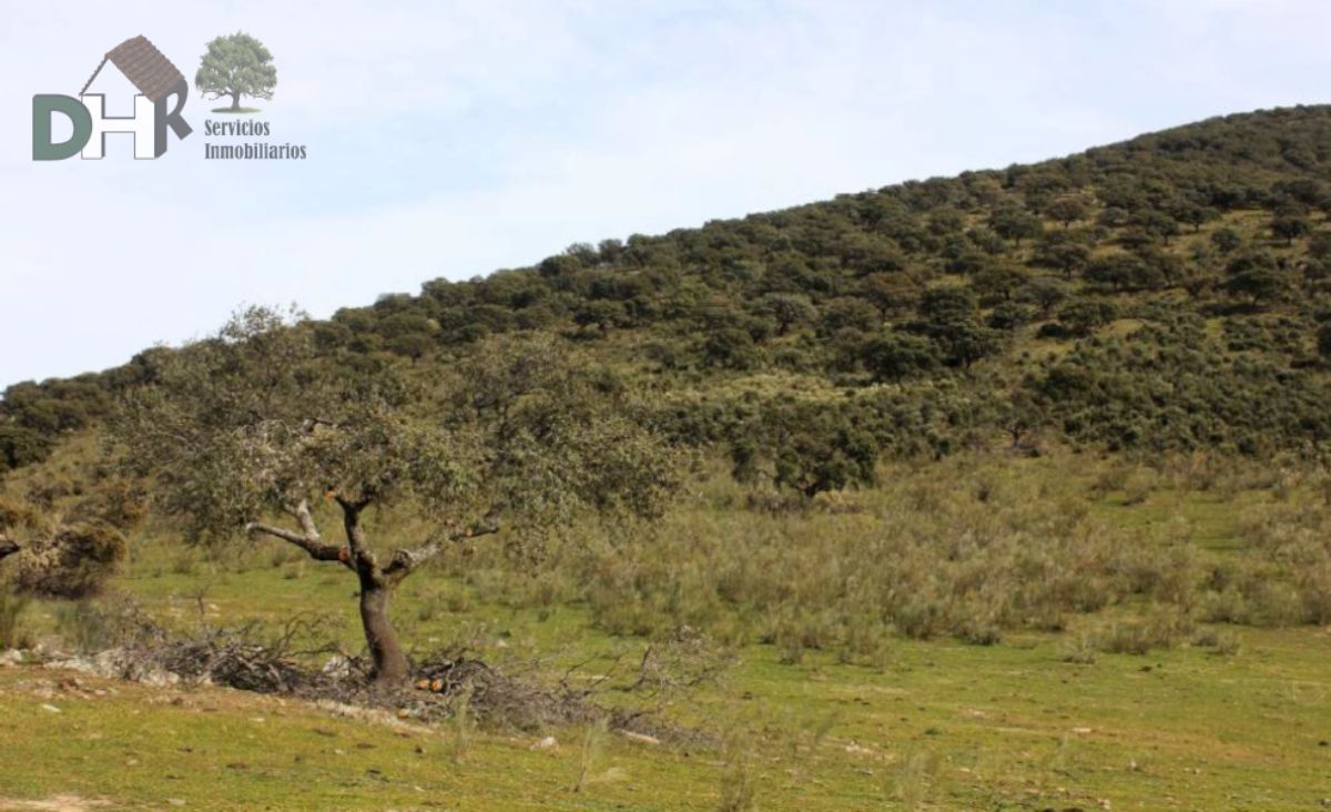 For sale of land in Cáceres