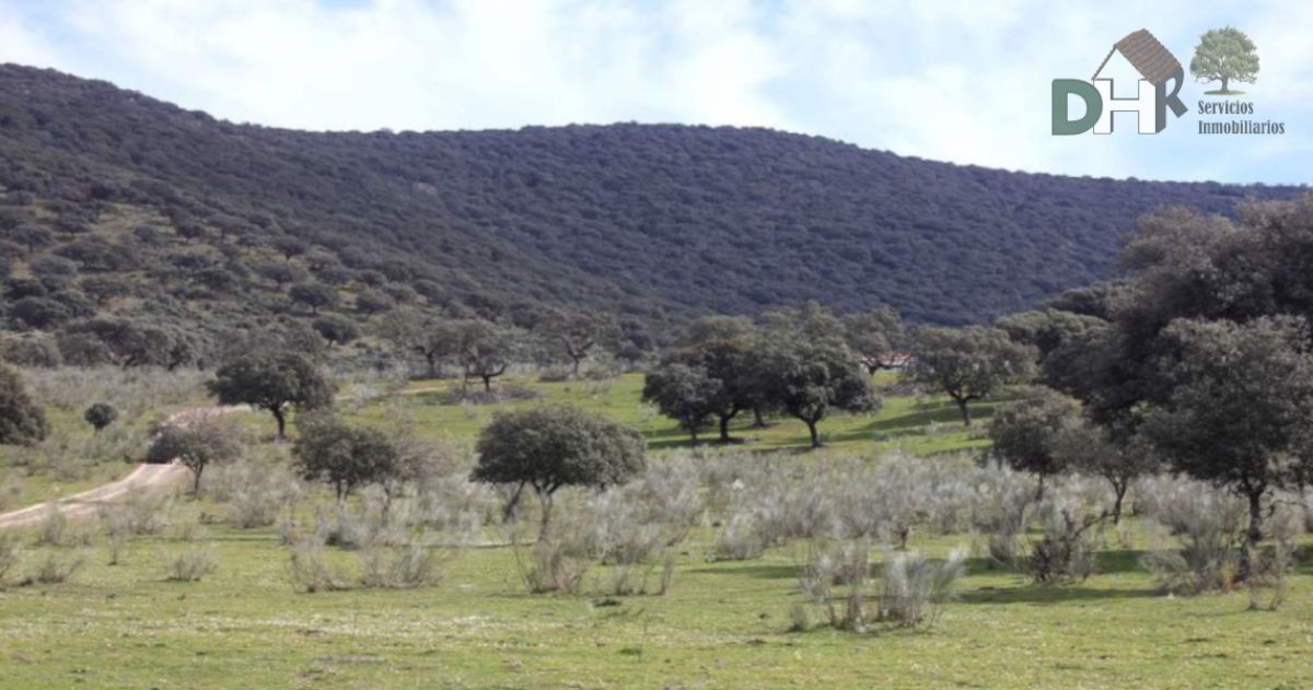 For sale of land in Cáceres