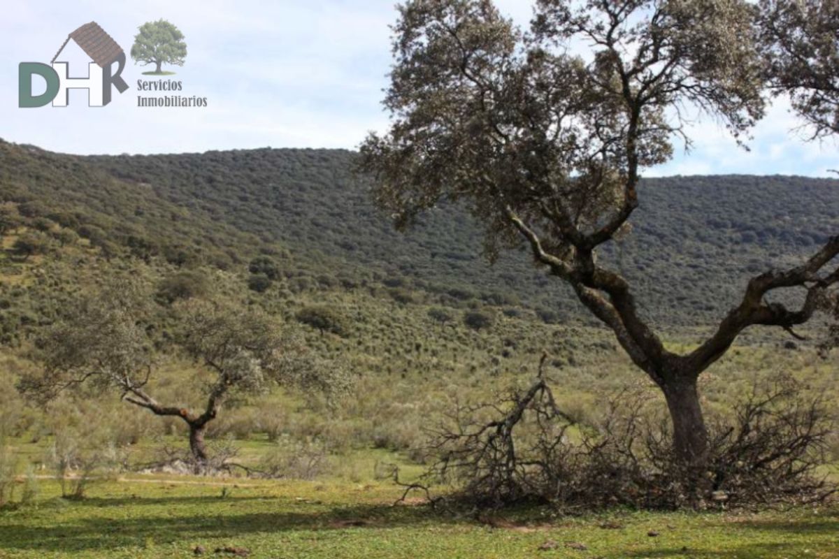 For sale of land in Cáceres