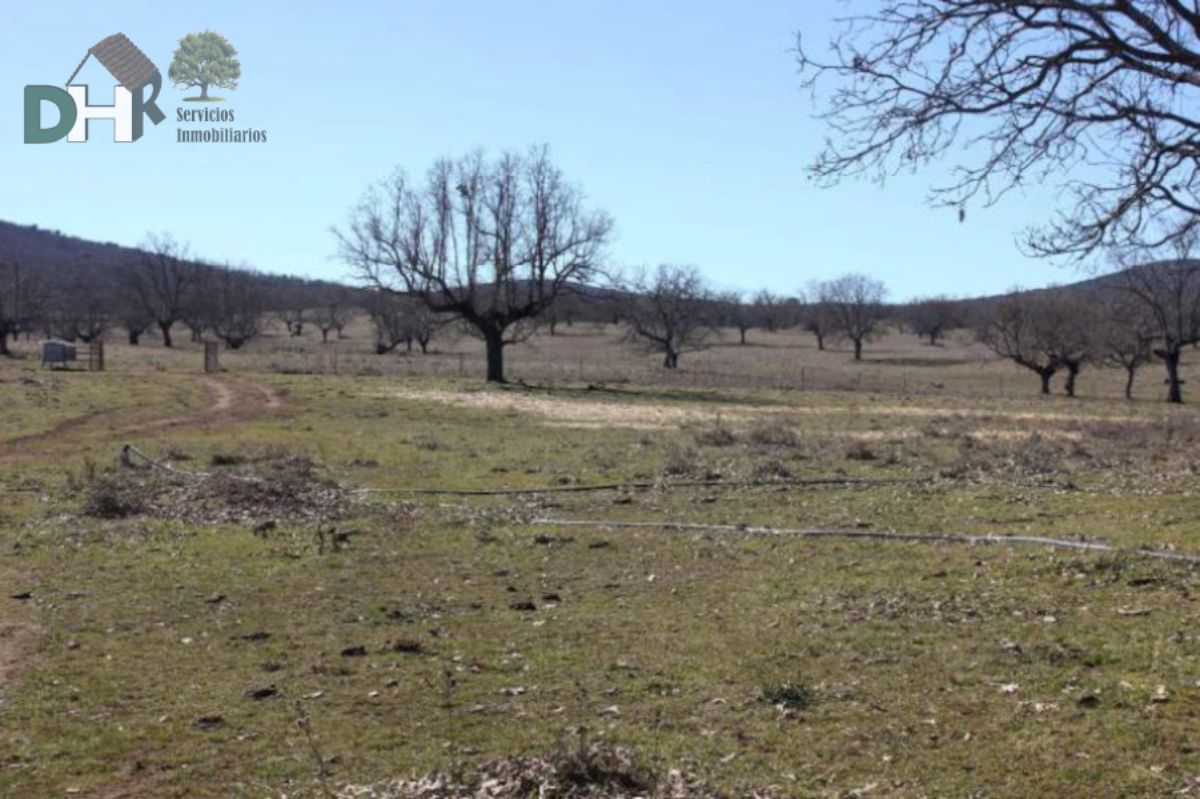 For sale of land in Cáceres