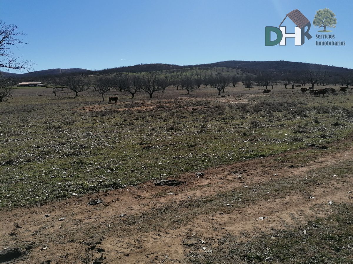 Venta de terreno en Cáceres