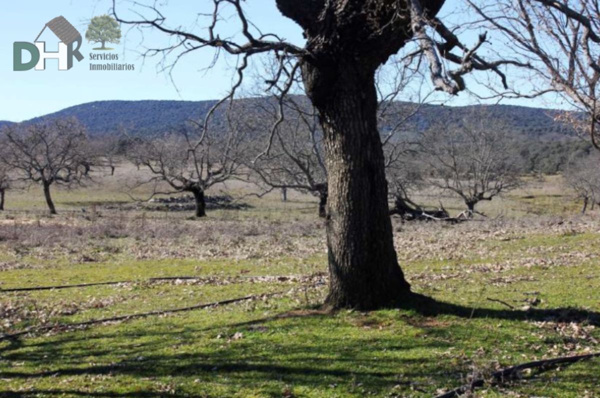 Venta de terreno en Cáceres