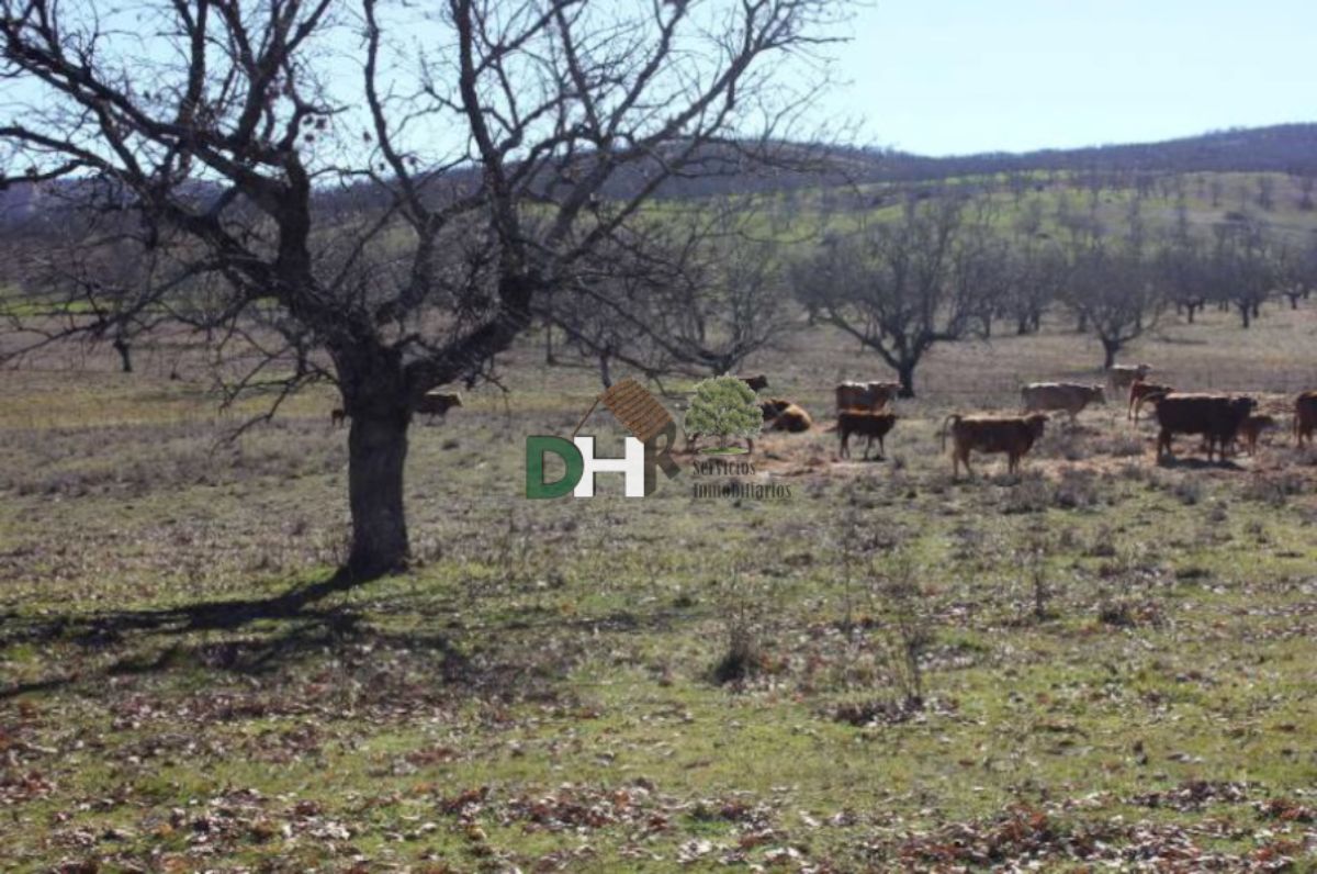 For sale of land in Cáceres