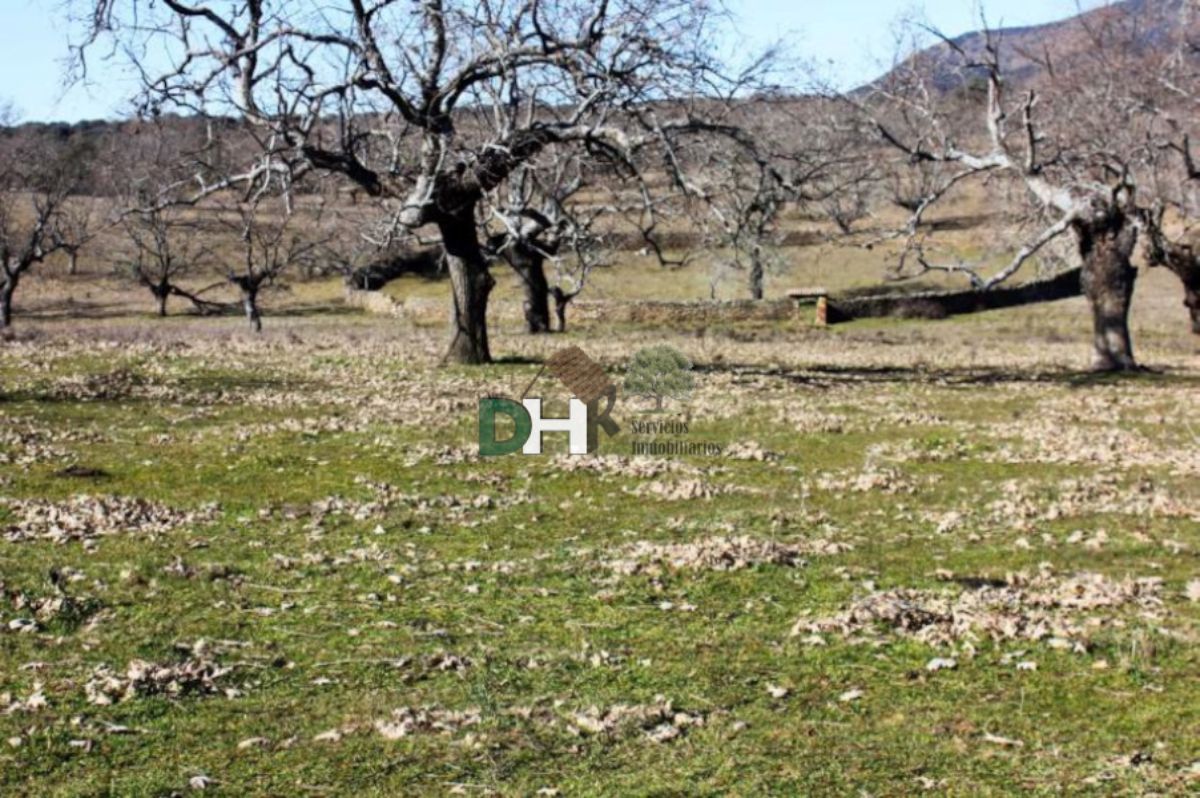 For sale of land in Cáceres