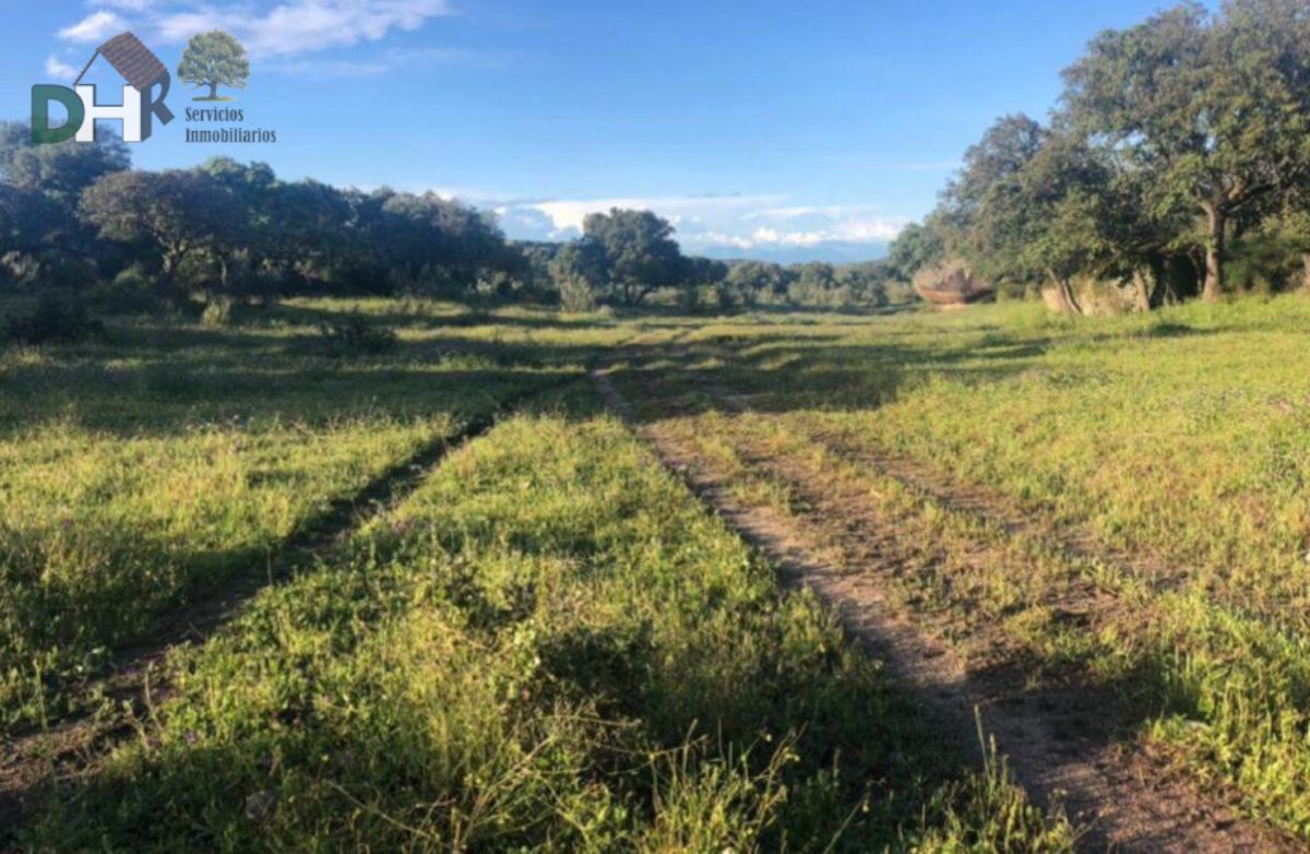 For sale of land in Cáceres