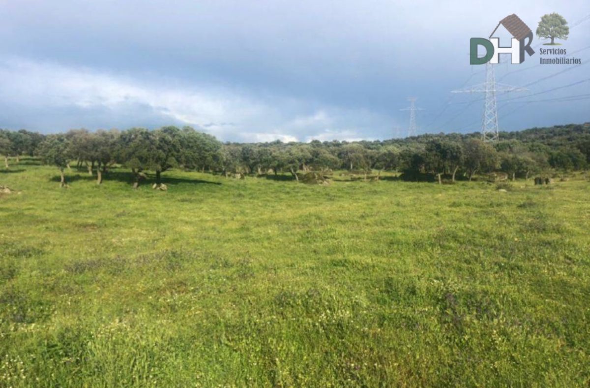 Venta de terreno en Cáceres Venta de terreno en Cáceres