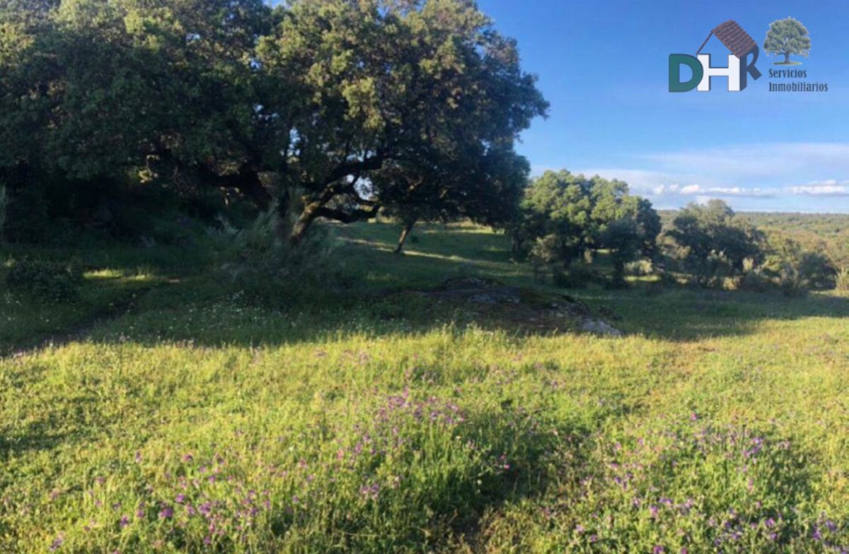 Venta de terreno en Cáceres Venta de terreno en Cáceres