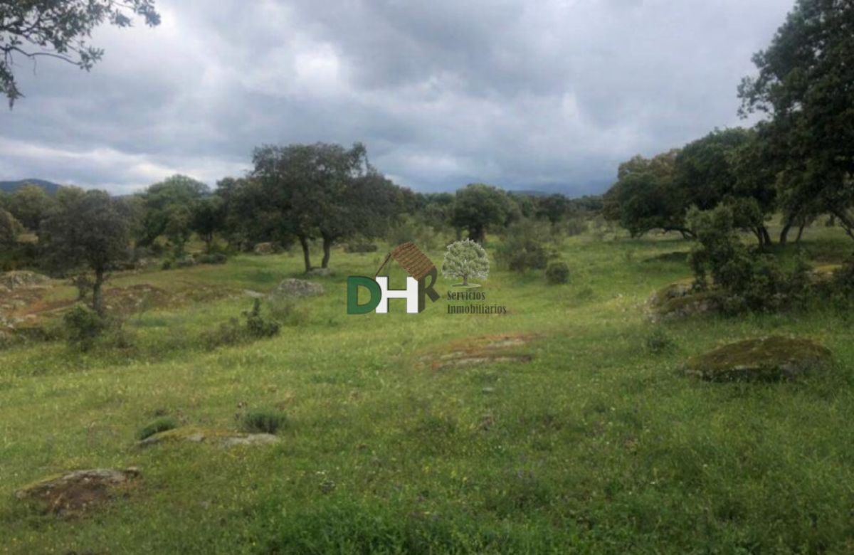 Venta de terreno en Cáceres Venta de terreno en Cáceres