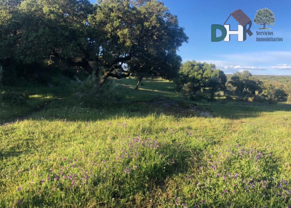 Venta de terreno en Cáceres Venta de terreno en Cáceres