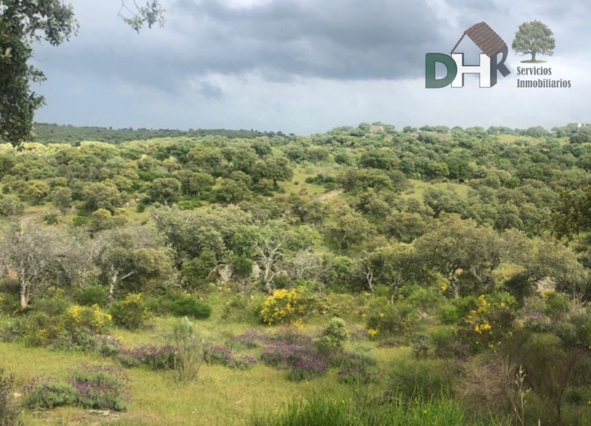 Venta de terreno en Cáceres Venta de terreno en Cáceres