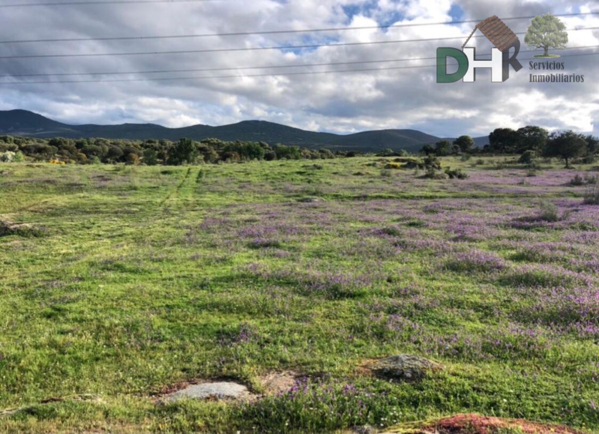 For sale of land in Cáceres