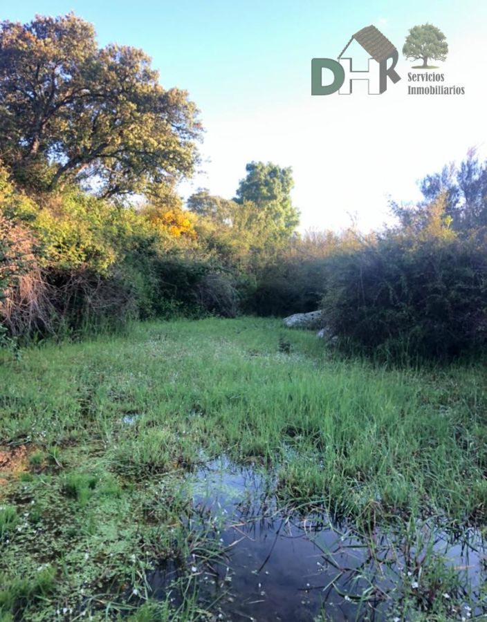 Venta de terreno en Cáceres Venta de terreno en Cáceres