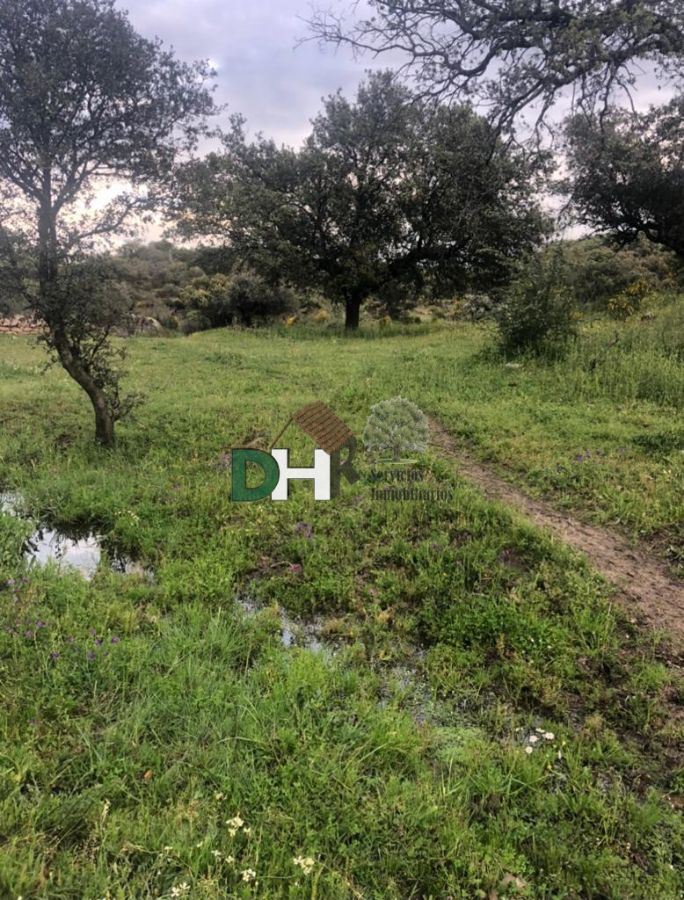 Venta de terreno en Cáceres Venta de terreno en Cáceres