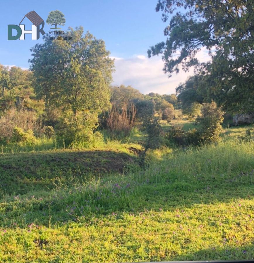 Venta de terreno en Cáceres Venta de terreno en Cáceres