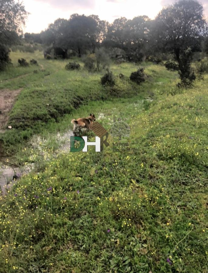 Venta de terreno en Cáceres