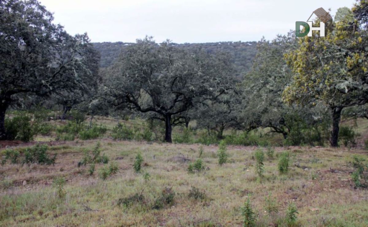 Venta de terreno en Cáceres