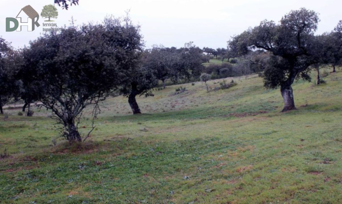 For sale of land in Cáceres