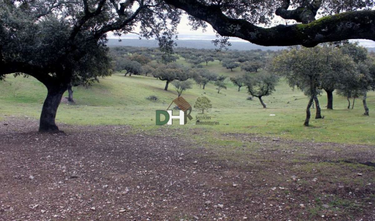 Venta de terreno en Cáceres Venta de terreno en Cáceres