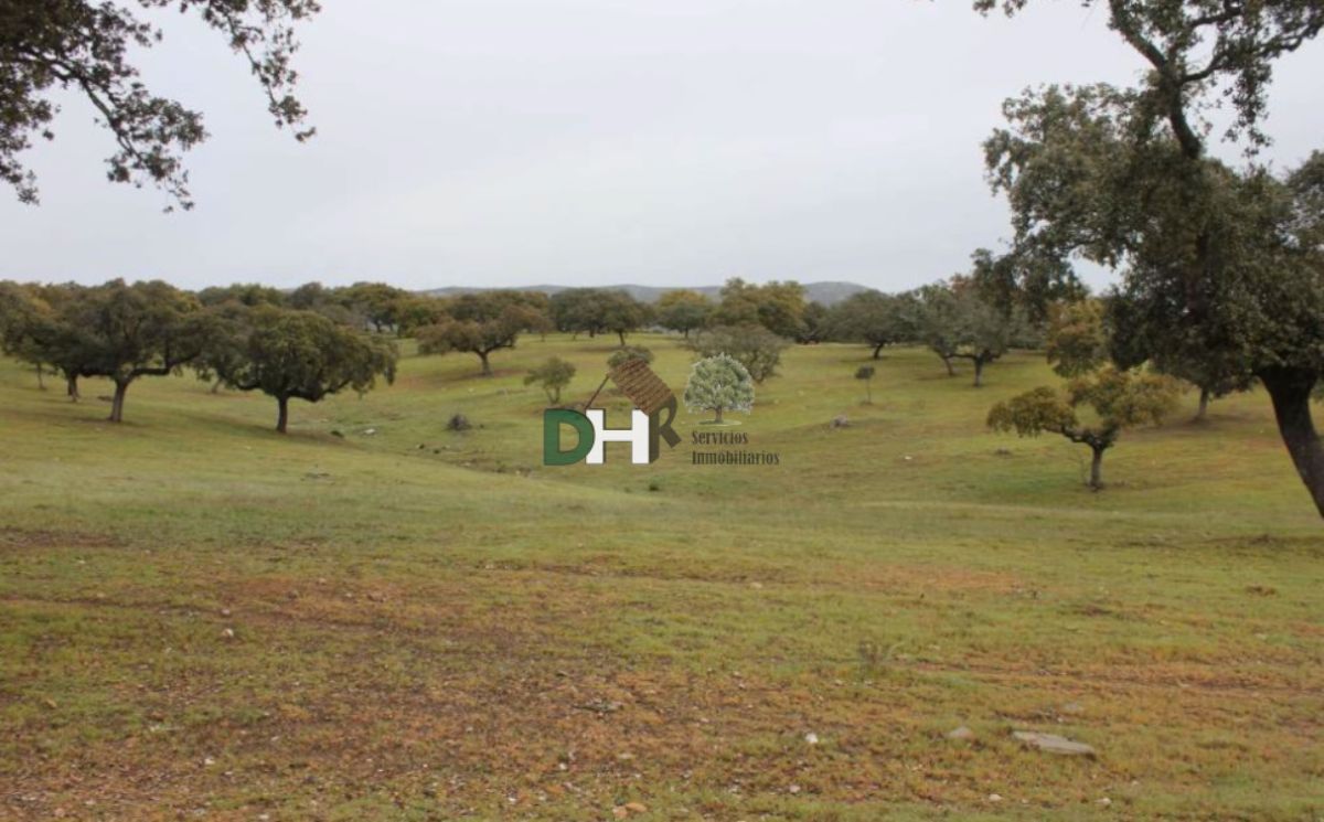 Venta de terreno en Cáceres