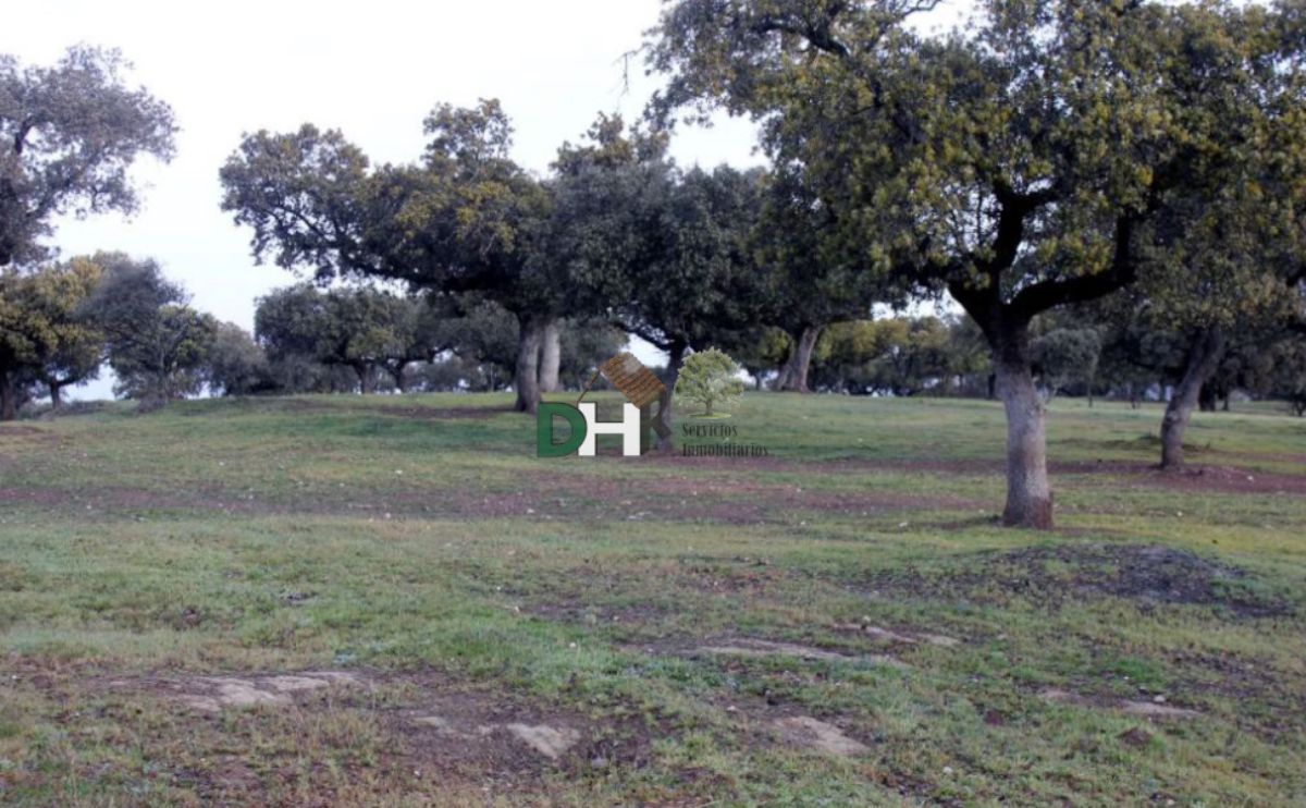 Venta de terreno en Cáceres