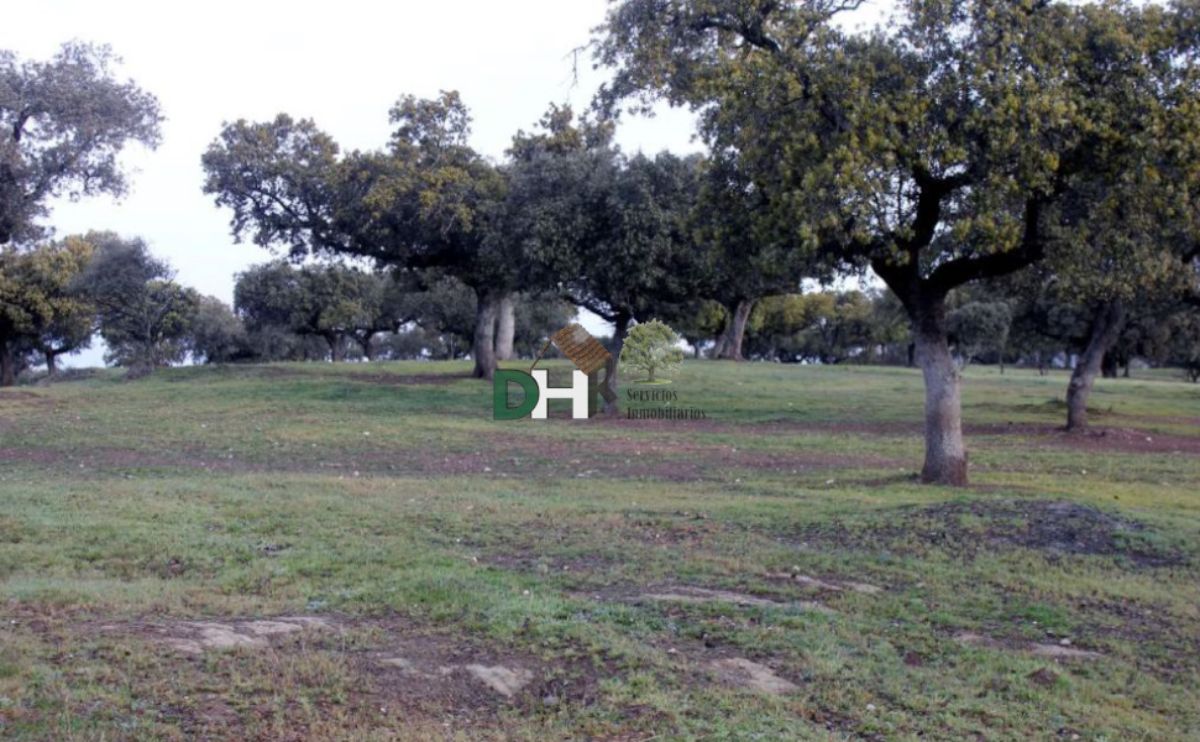 Venta de terreno en Cáceres Venta de terreno en Cáceres