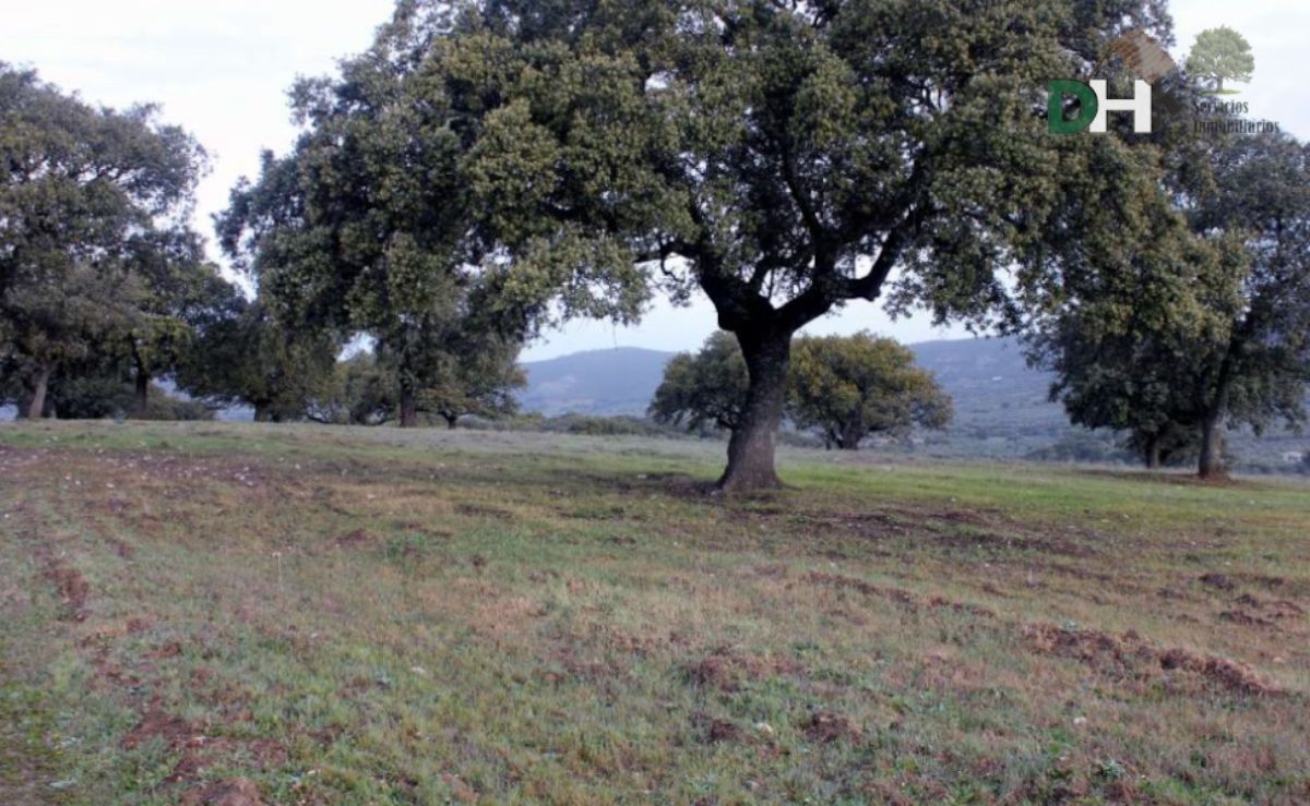 For sale of land in Cáceres