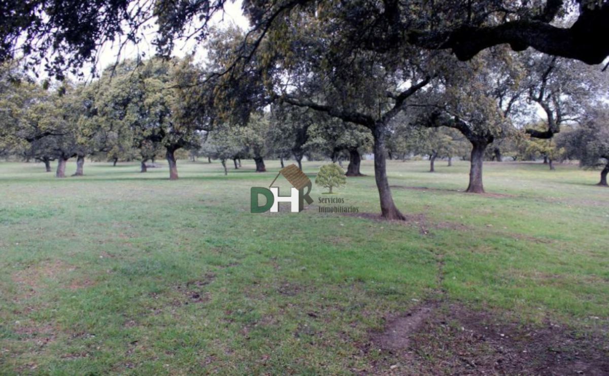 Venta de terreno en Cáceres Venta de terreno en Cáceres