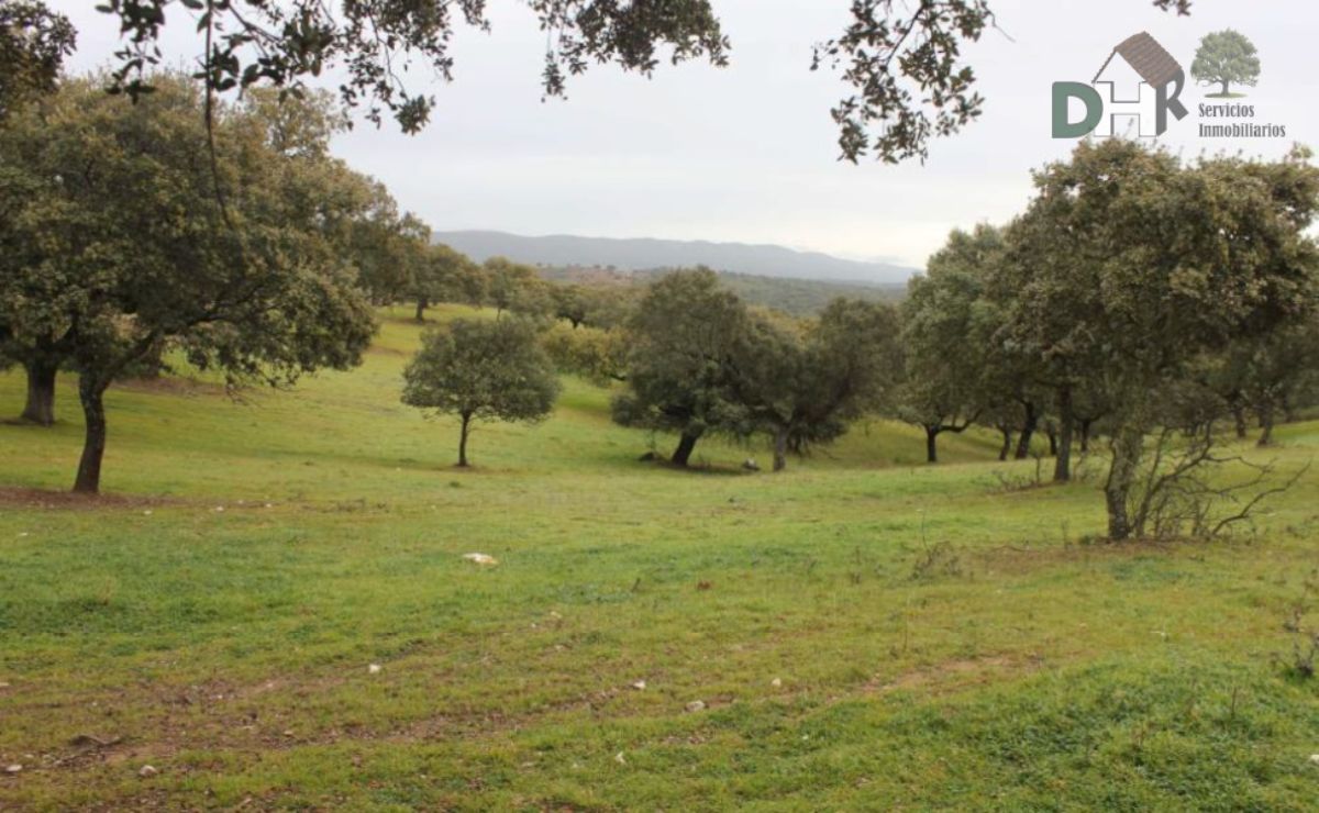 For sale of land in Cáceres