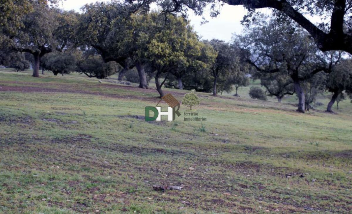 For sale of land in Cáceres