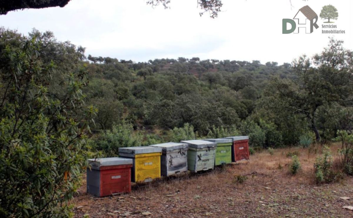 For sale of land in Cáceres