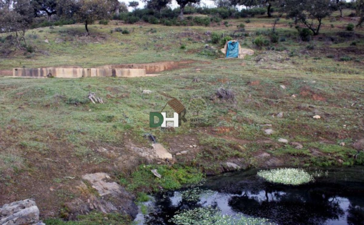 Venta de terreno en Cáceres Venta de terreno en Cáceres