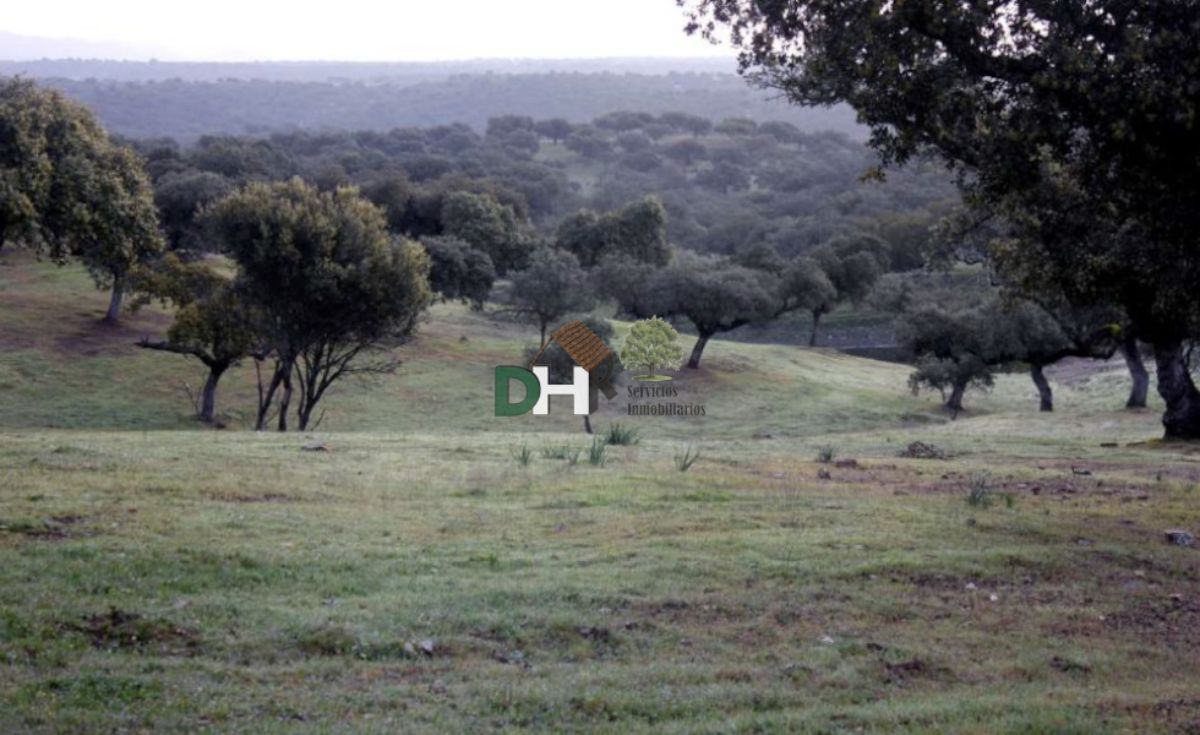 Venta de terreno en Cáceres