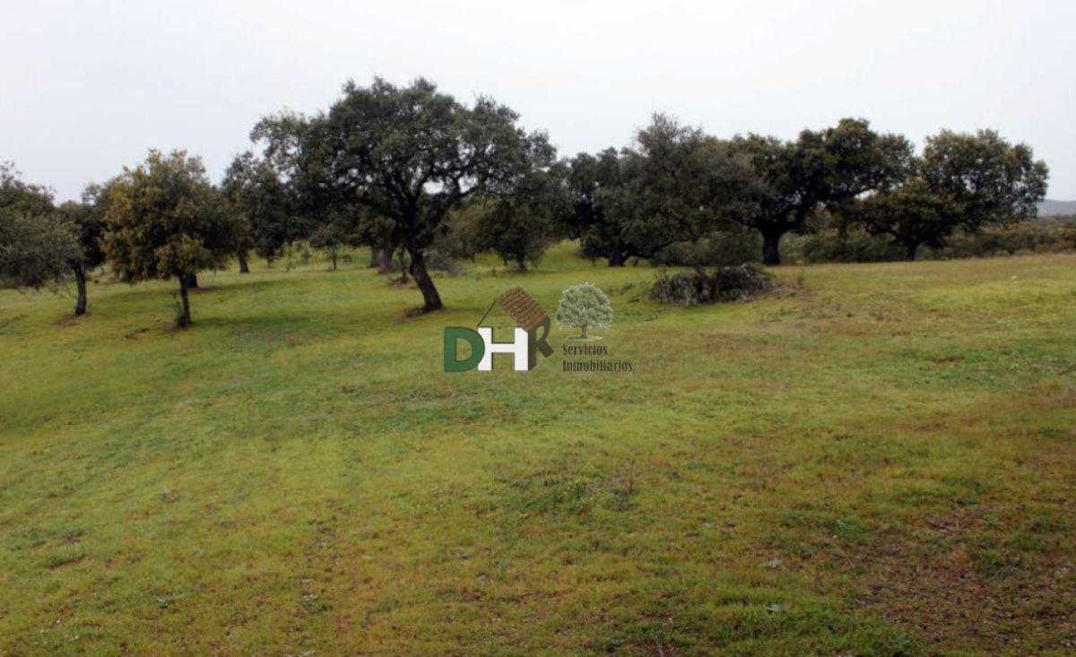 Venta de terreno en Cáceres