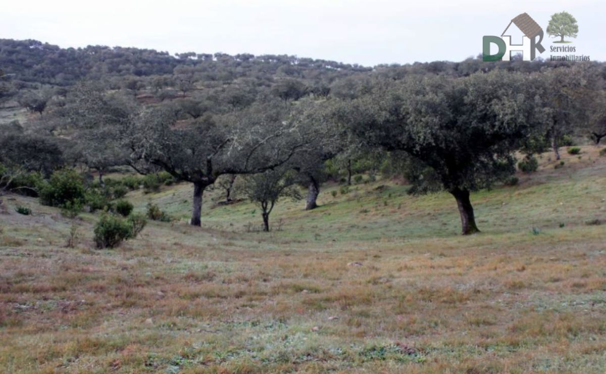 For sale of land in Cáceres