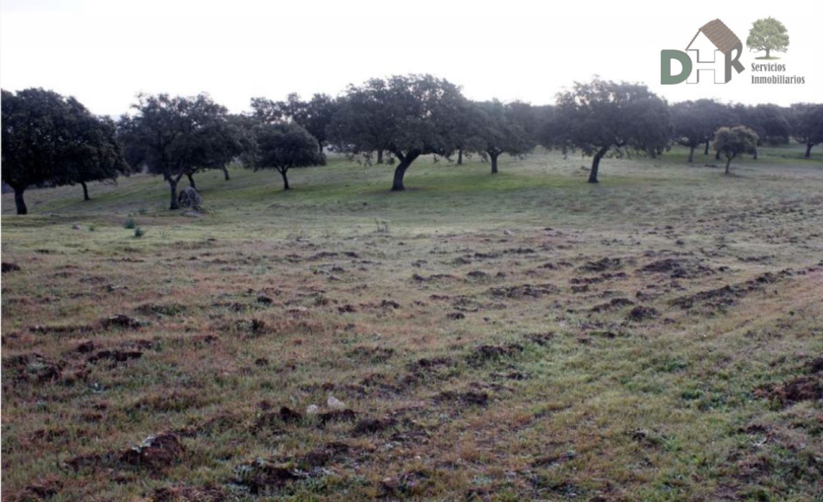 For sale of land in Cáceres